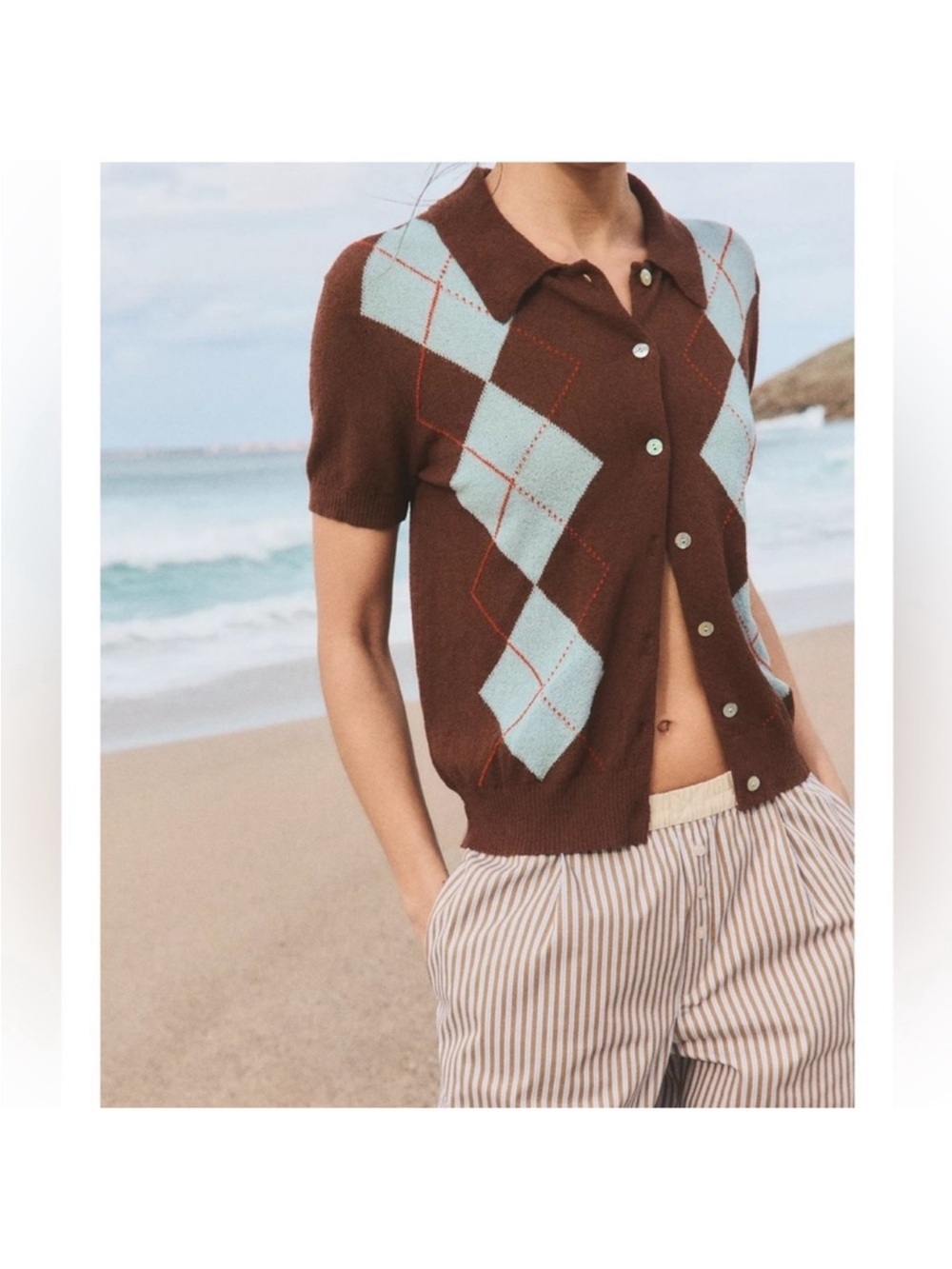 Zara Brown Cardigan with Light Blue Argyle Panels